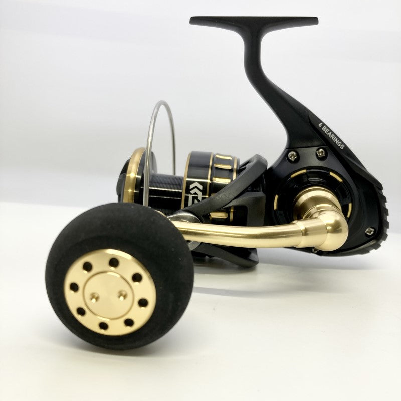 DAIWA 23 BG SW 8000-H