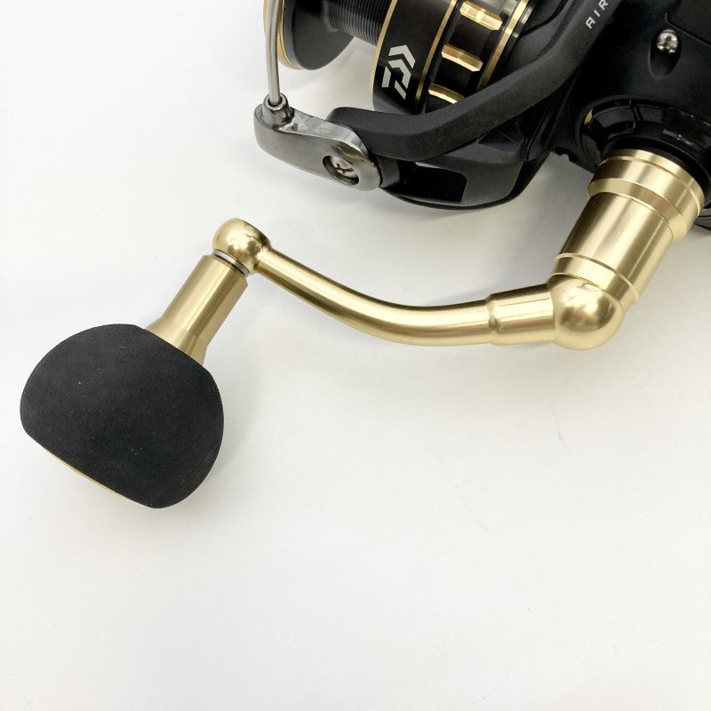 DAIWA 23 BG SW 8000-H