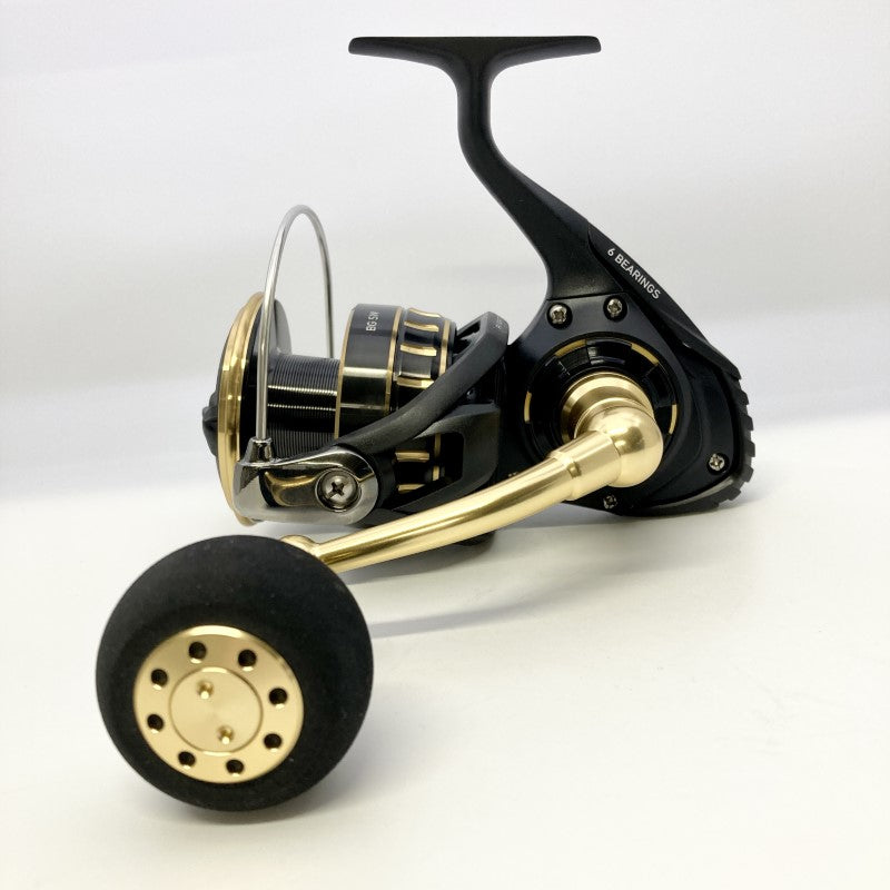DAIWA 23 BG SW 10000-H