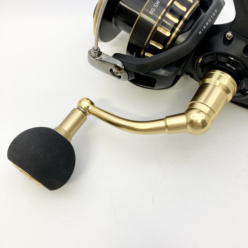 DAIWA 23 BG SW 10000-H