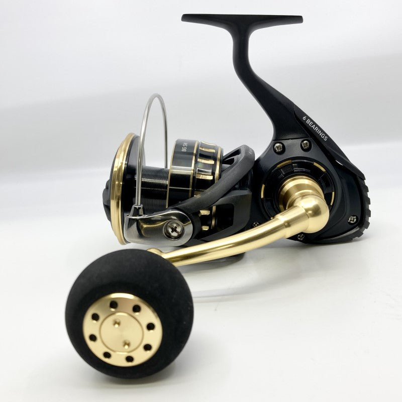 DAIWA 23 BG SW 14000-H