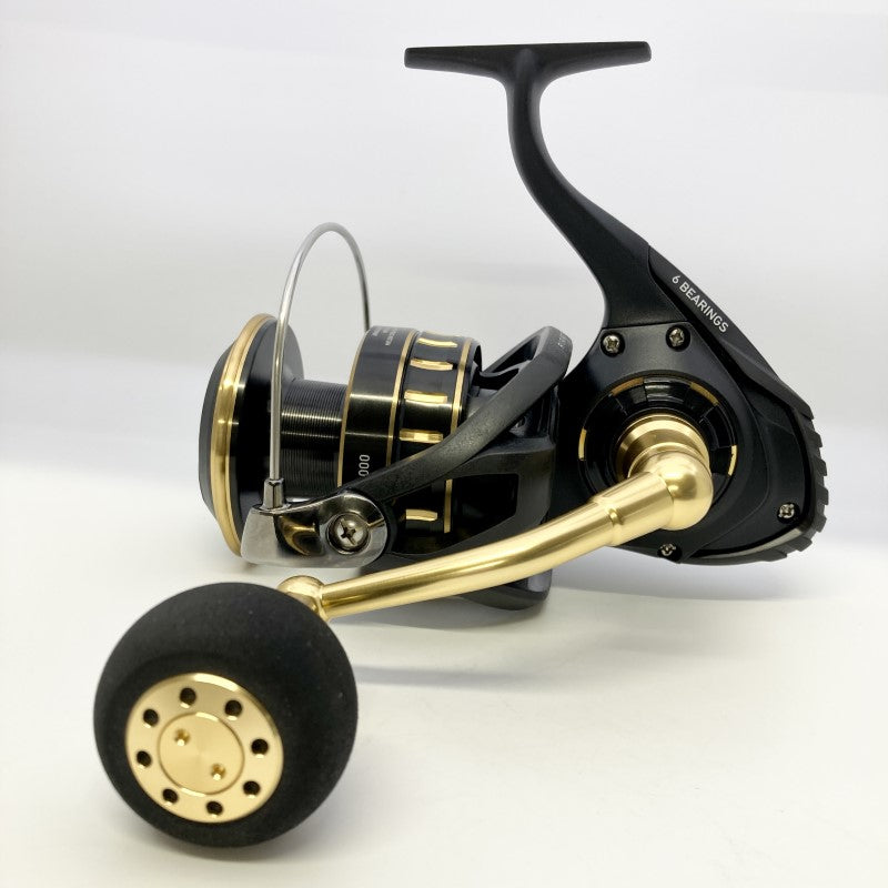 DAIWA 23 BG SW 18000