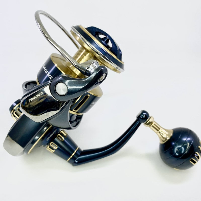 DAIWA 25 SALTIGA 8000-P