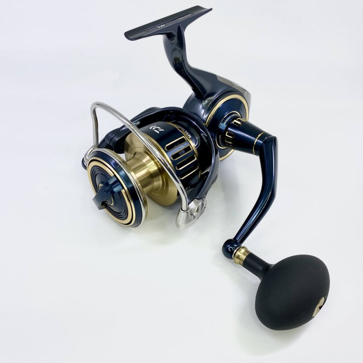DAIWA 25 SALTIGA 8000-H