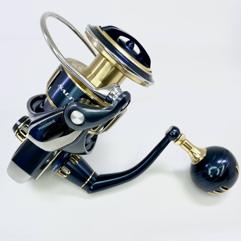 DAIWA 25 SALTIGA 10000-P