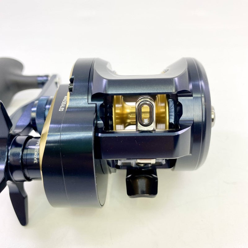 DAIWA 25 SALTIGA 300