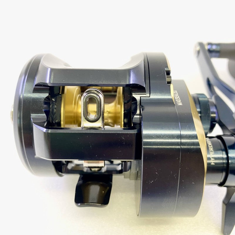 DAIWA 25 SALTIGA 300L