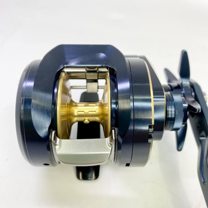 DAIWA 25 SALTIGA 300H
