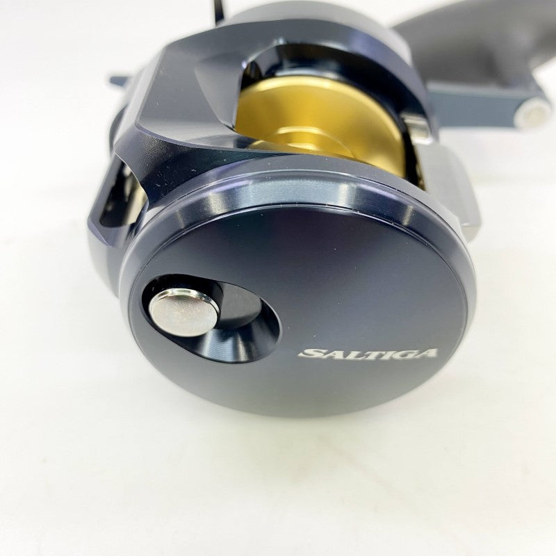 DAIWA 25 SALTIGA 300H
