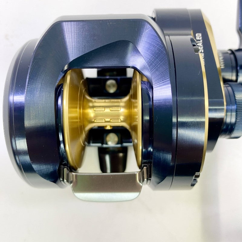 DAIWA 25 SALTIGA 300H