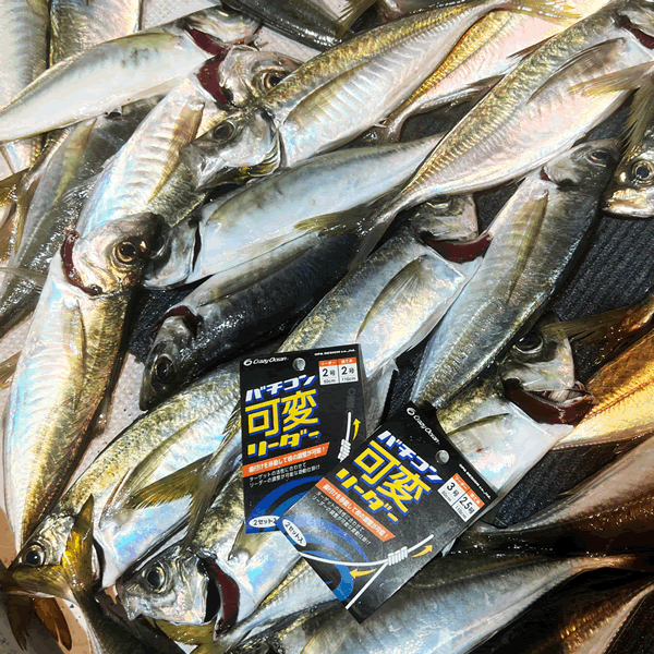 Crazy Ocean BACHIKON KAHEN LEADER #2 : 50cm (2 sets/pack)
