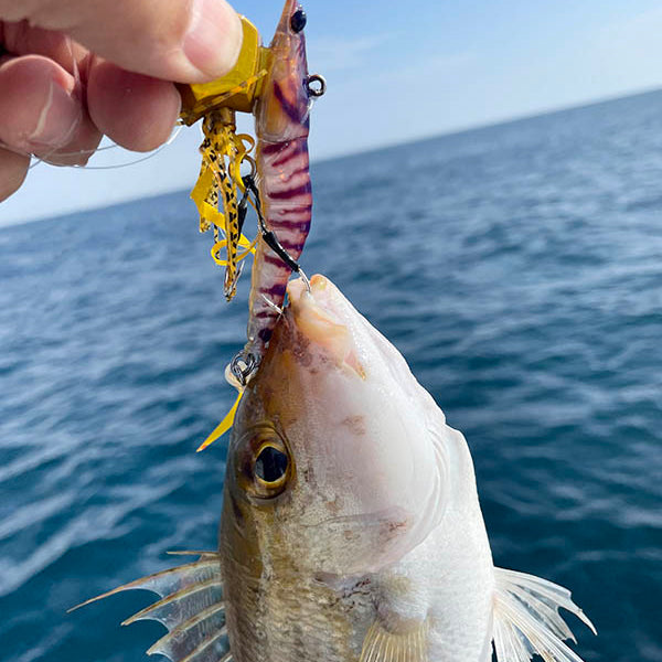 LITTLE JACK EBINEM 30g 60.5mm : 30g Sinking #05 MATT REAL PRAWN
