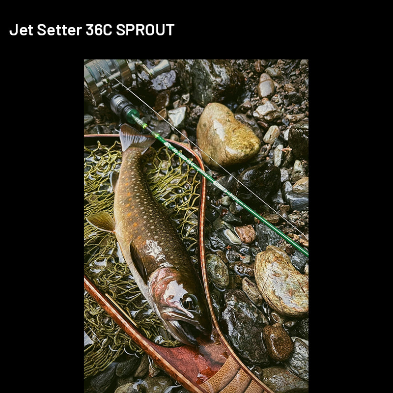 Jet Slow Jet Setter Jet Setter 36C SPROUT (3 pieces, Casting)