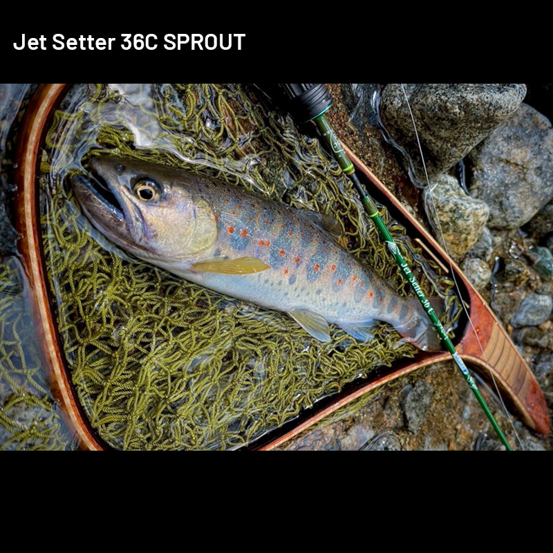 Jet Slow Jet Setter Jet Setter 36C SPROUT (3 pieces, Casting)
