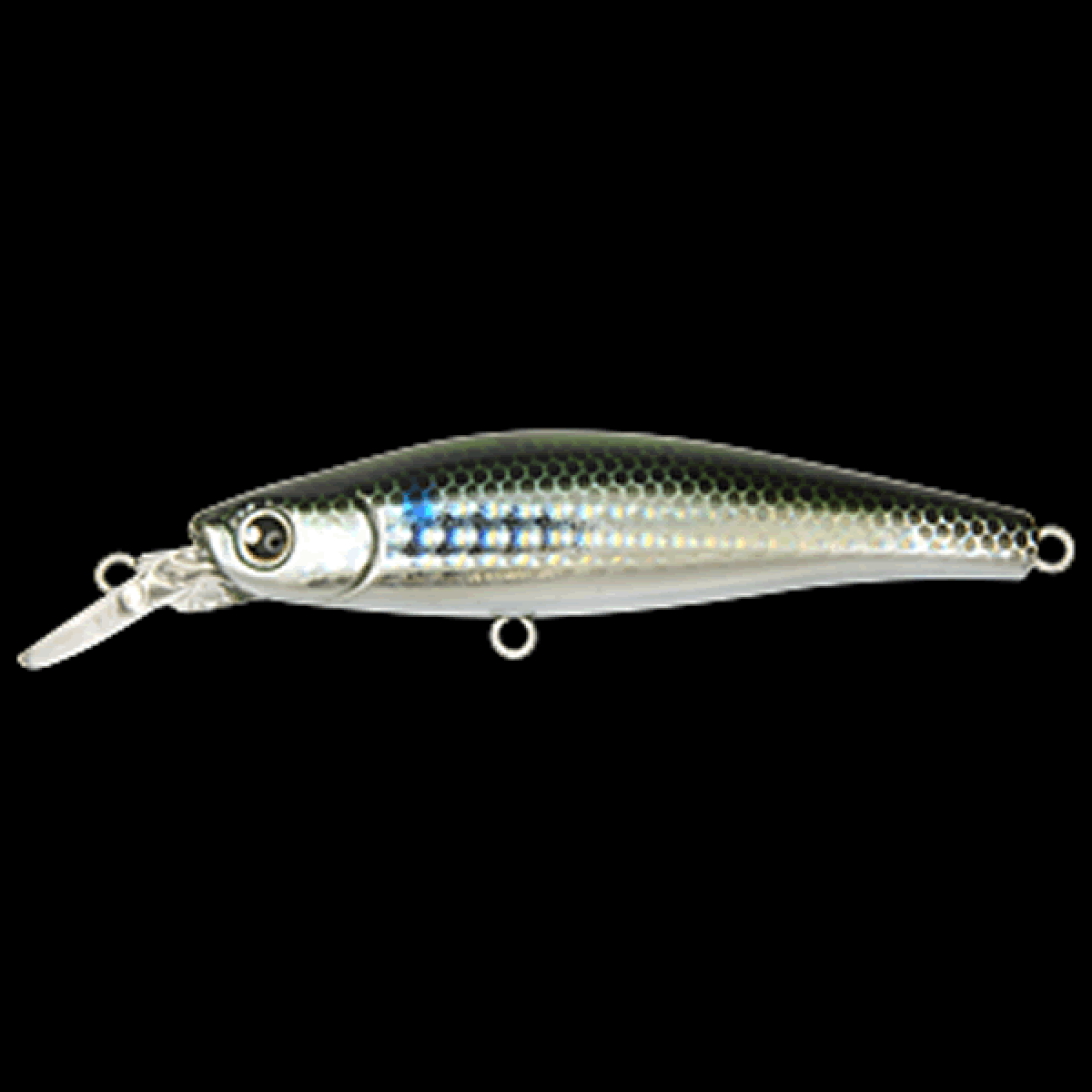 LONGIN RUMBLE BEAT FLOATING 80mm : 11g FLOATING S024LN BORA(LENS HOLO)