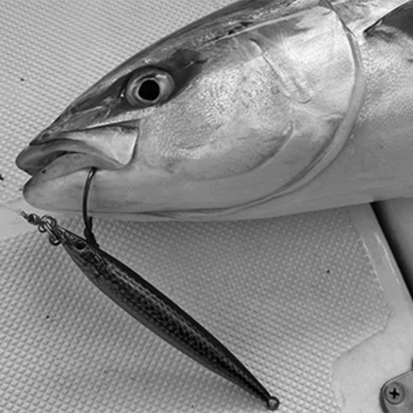 LITTLE JACK METAL ADICT type05-30g 88mm : 30g Sinking #06 TACHIUO