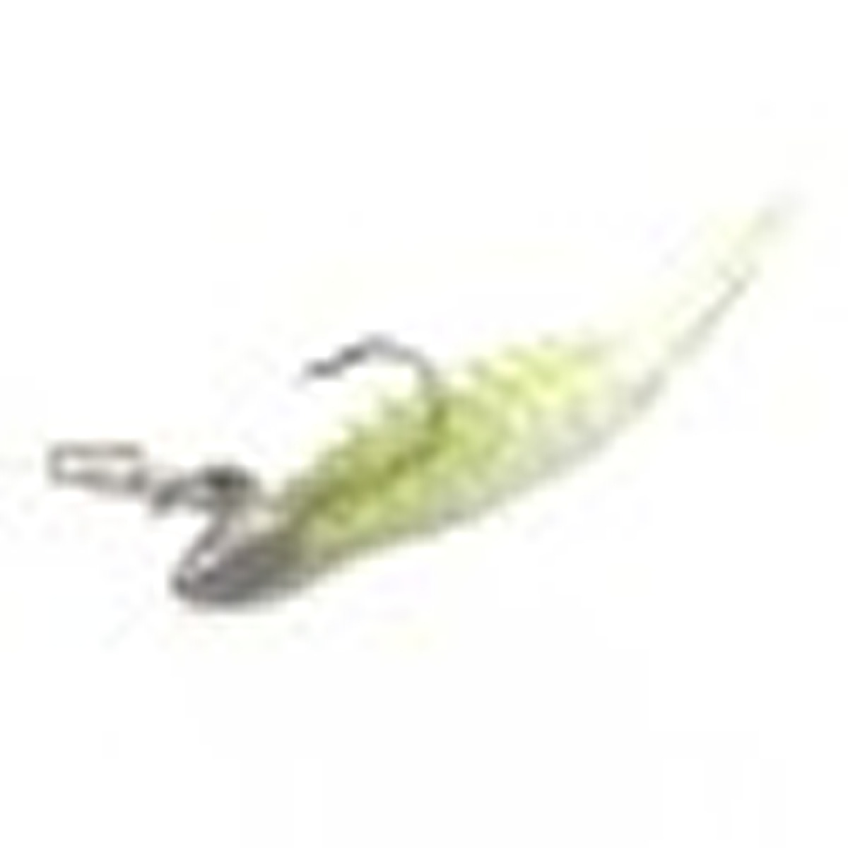 MAGBITE HANG (18 pcs / Pack)