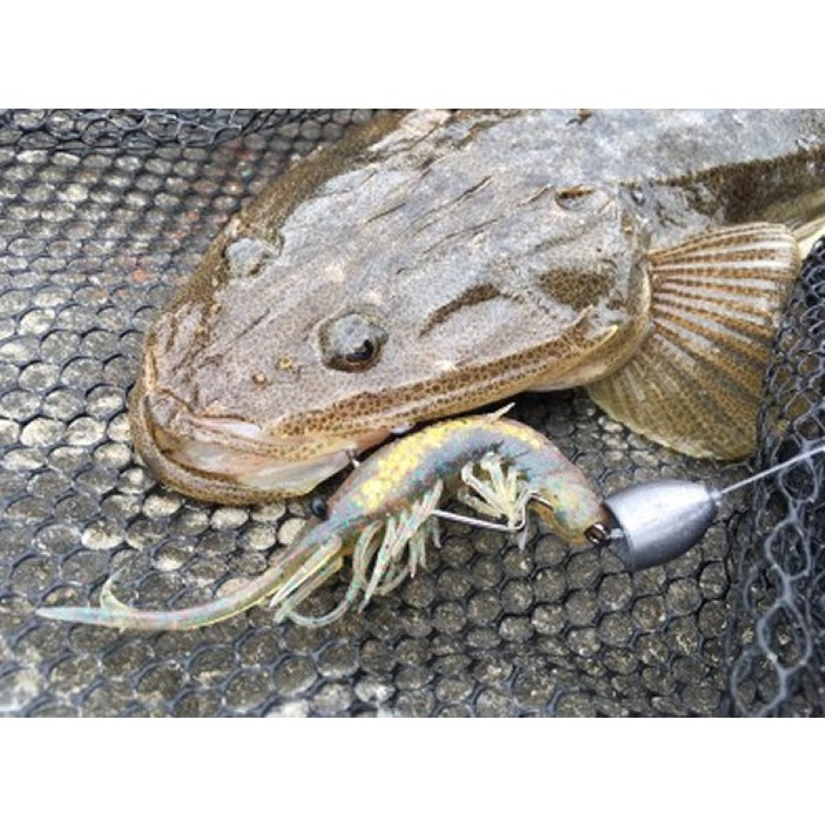 MAGBITE S.T SINKER 10g (3pcs / Pack)