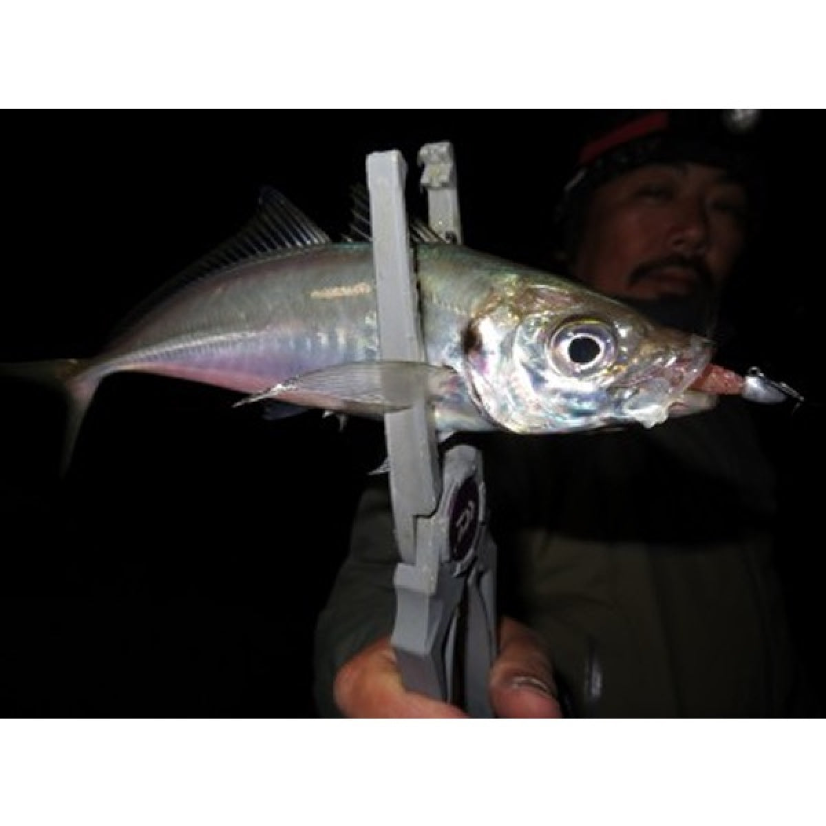 MAGBITE AJI KILLER JIGHEAD #8 - 1.3g (5pcs / Pack)