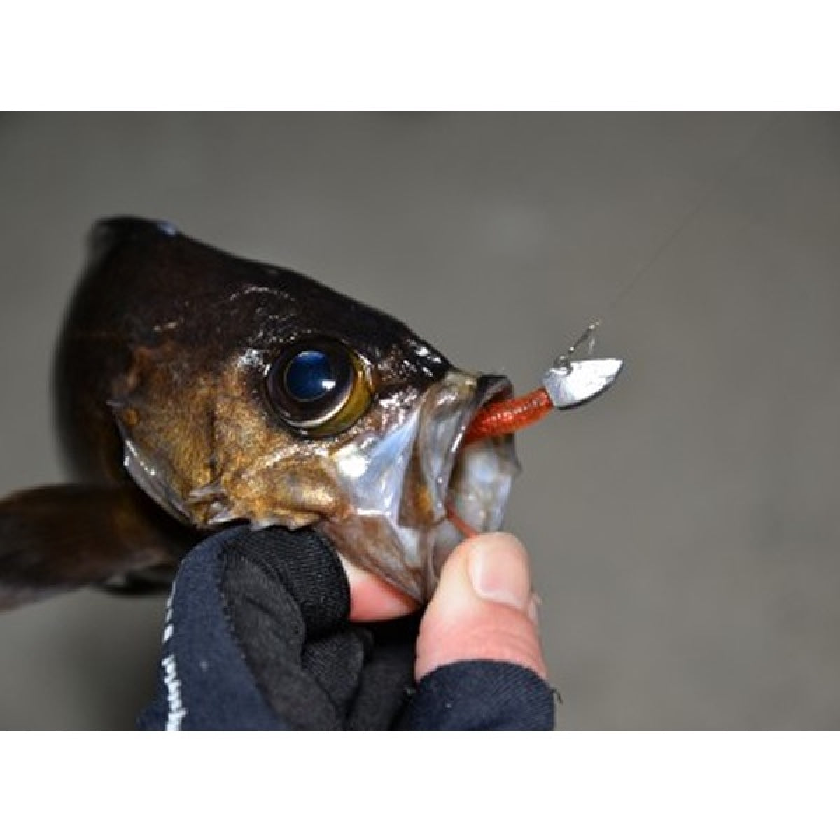 MAGBITE KURUKURU BLADING JIGHEAD #8 - 3.0g (2pcs / Pack)
