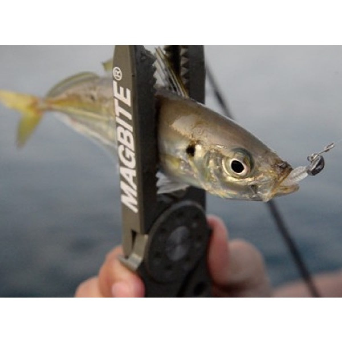 MAGBITE KOAKUMA JIGHEAD ValuePack 0.4g (20pcs / Pack)