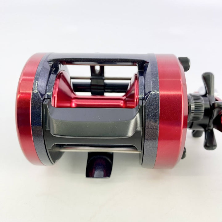 DAIWA 17 DYNASTAR 300
