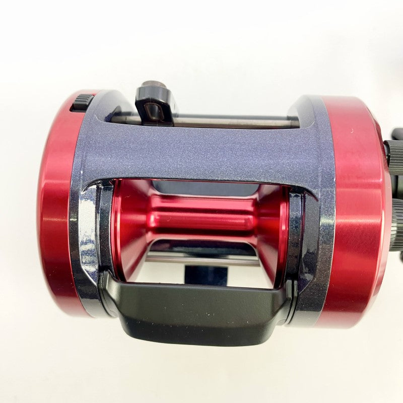 DAIWA 17 DYNASTAR 300