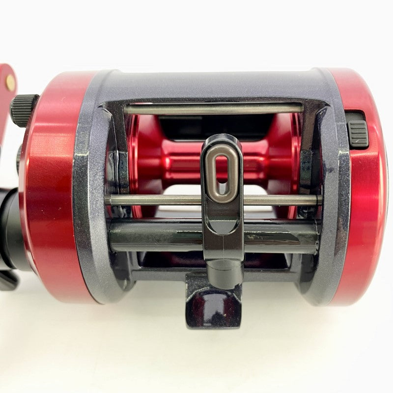DAIWA 17 DYNASTAR 300
