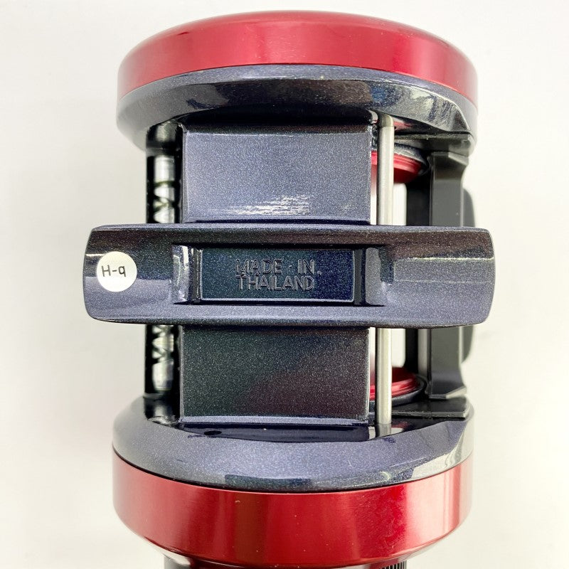 DAIWA 17 DYNASTAR 300