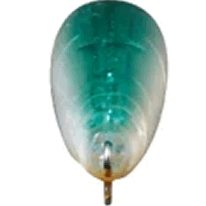 DAIWA SHORELINE SHINER Z SETUPPER 125S-DR 125mm : 26g Slow Sinking HP IWASHI