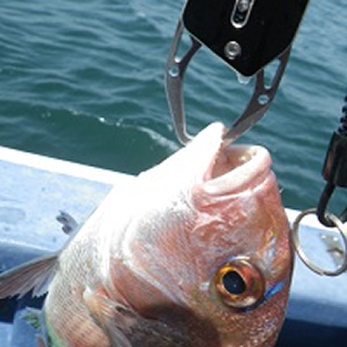 DAIWA FISH GRIP V 130K 130mm : 80g SILVER