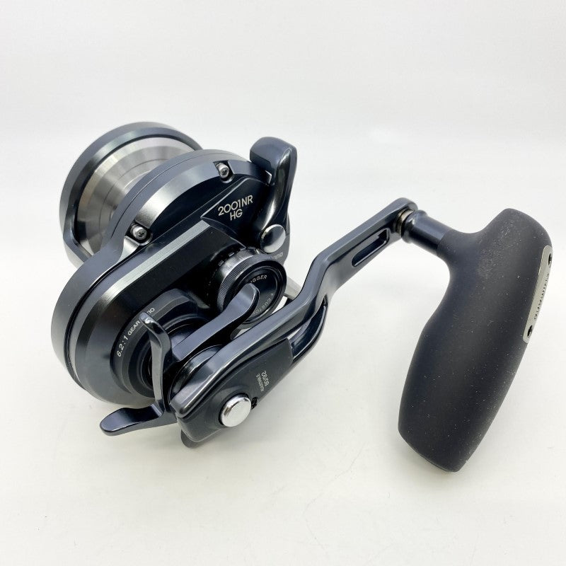 SHIMANO 19 OCEA JIGGER FC 2001NRHG