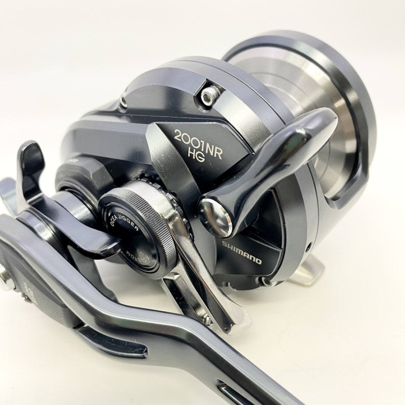 SHIMANO 19 OCEA JIGGER FC 2001NRHG