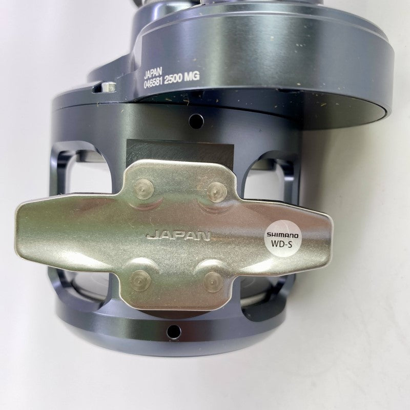 SHIMANO 24 OCEA JIGGER LD 2500MG