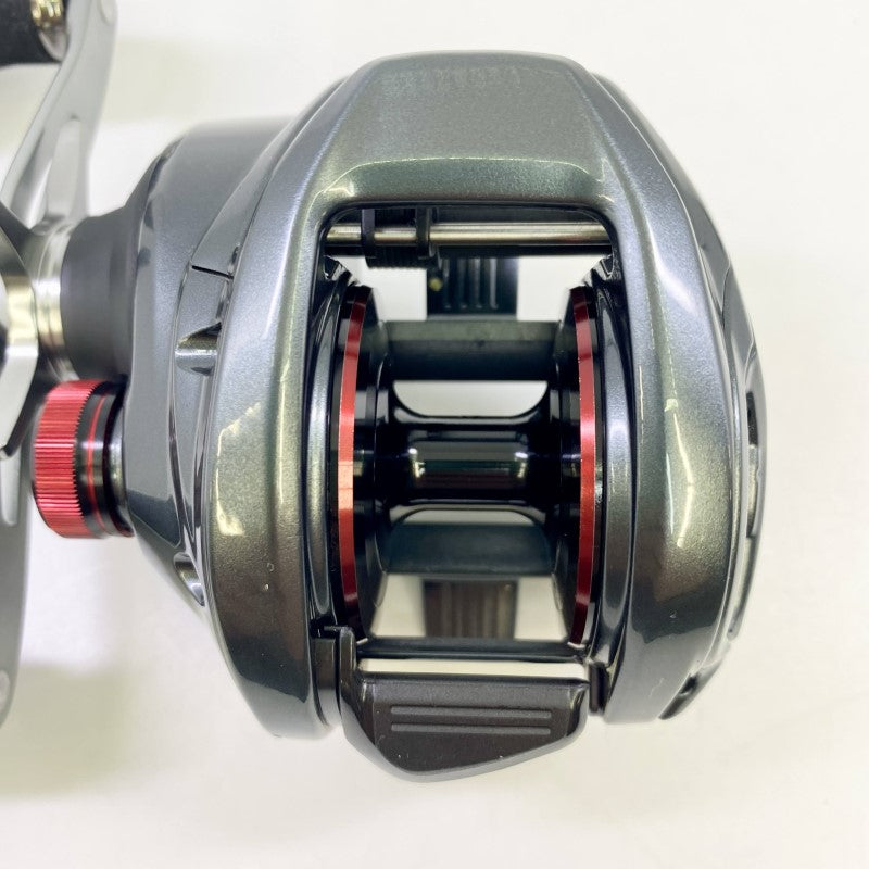 SHIMANO 24 SCORPION MD 301XGLH
