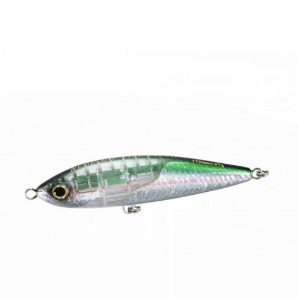 SHIMANO OCEA HEAD DIP 175F FLASH BOOST 175mm : 97g Floating XU-T17T F RAINBOW