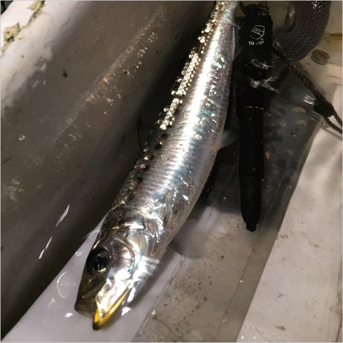 SHIMANO EXSENCE COO 100F JET BOOST 100mm : 10g Floating XL-110P KYORIN RH