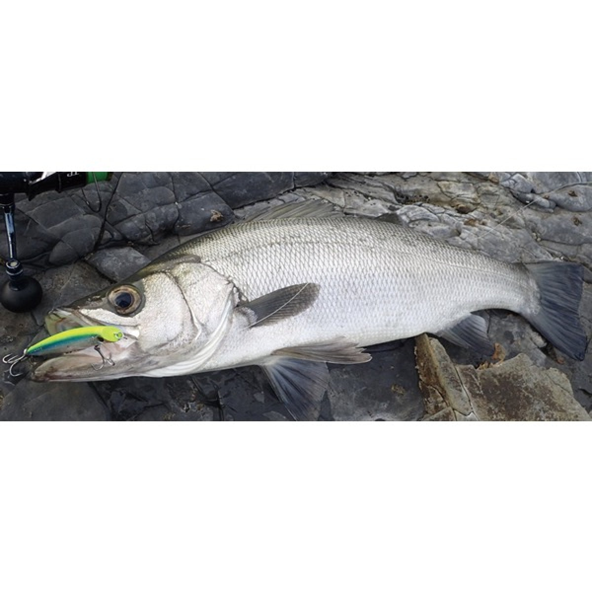 SHIMANO EXSENCE COO 100F JET BOOST 100mm : 10g Floating XL-110P KYORIN RH