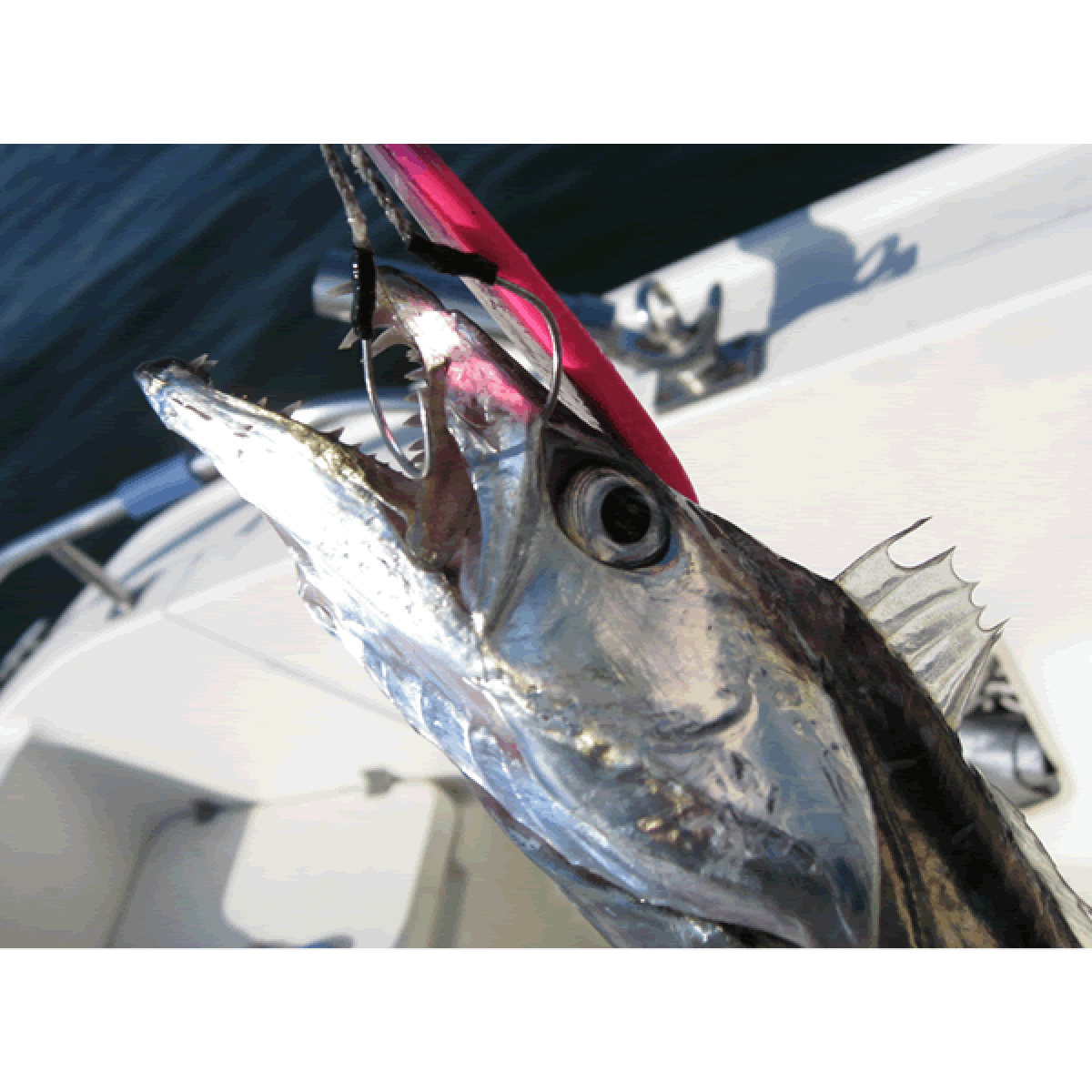 DECOY TWIN PIKE #2 DJ-88 (3 pcs/pack) TIN