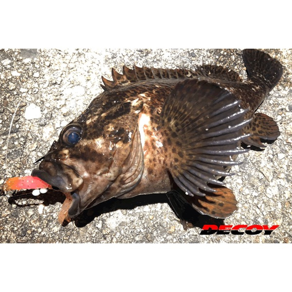 DECOY MAKISASU HOOK #5/0 Worm30 (3 pcs/pack) NS BLACK