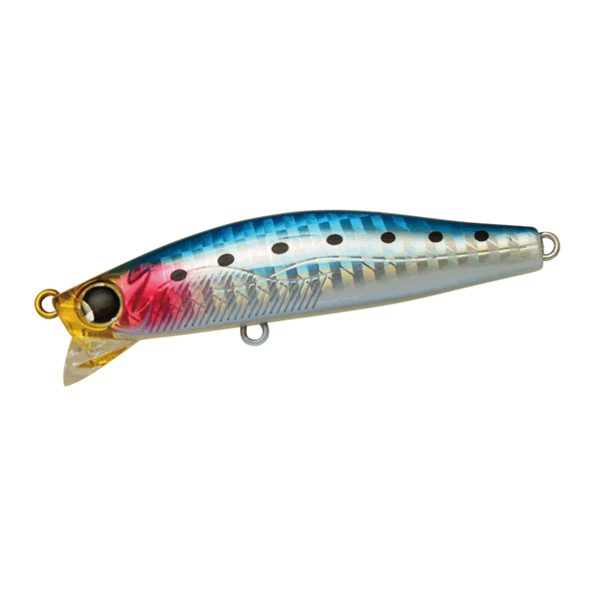 Ja-Do GRAVER HI 68S 68mm : 11g SINKING 02 IWASHI